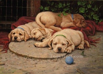 ami0007D13 animal dogs Oil Paintings